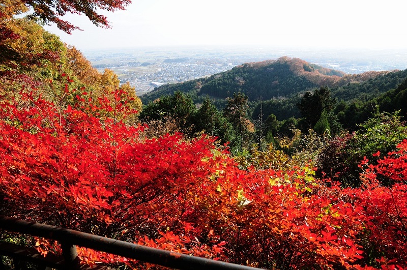 【栃木市】太平山もみじまつりの開催日と内容、行った人の感想をチェック！