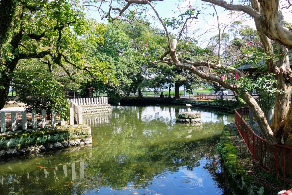 人丸神社の神池には鯉が泳いでいる