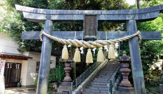 【御朱印巡り】佐野市の「星宮神社」を参拝！境内と社殿の様子を写真たっぷりで紹介します