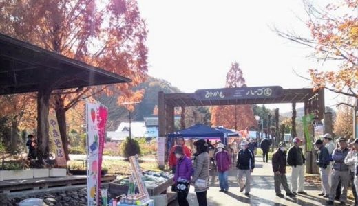 佐野市「万葉柚子収穫祭」の開催日と内容、行った人の感想をチェック！